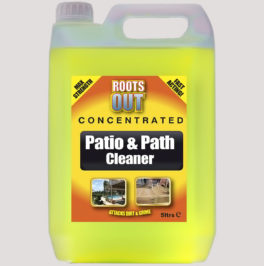 patio and path cleaner